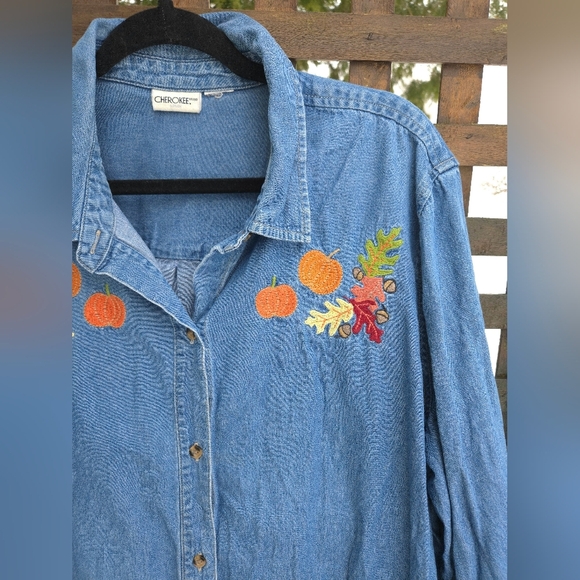 Vintage Fall Embroidered Button Up - Picture 3 of 9